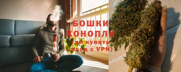 гашик Белокуриха