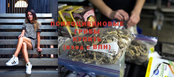 гашик Белокуриха