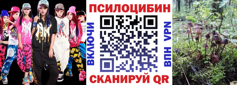 Галлюциногенные грибы Psilocybe  Гусев 